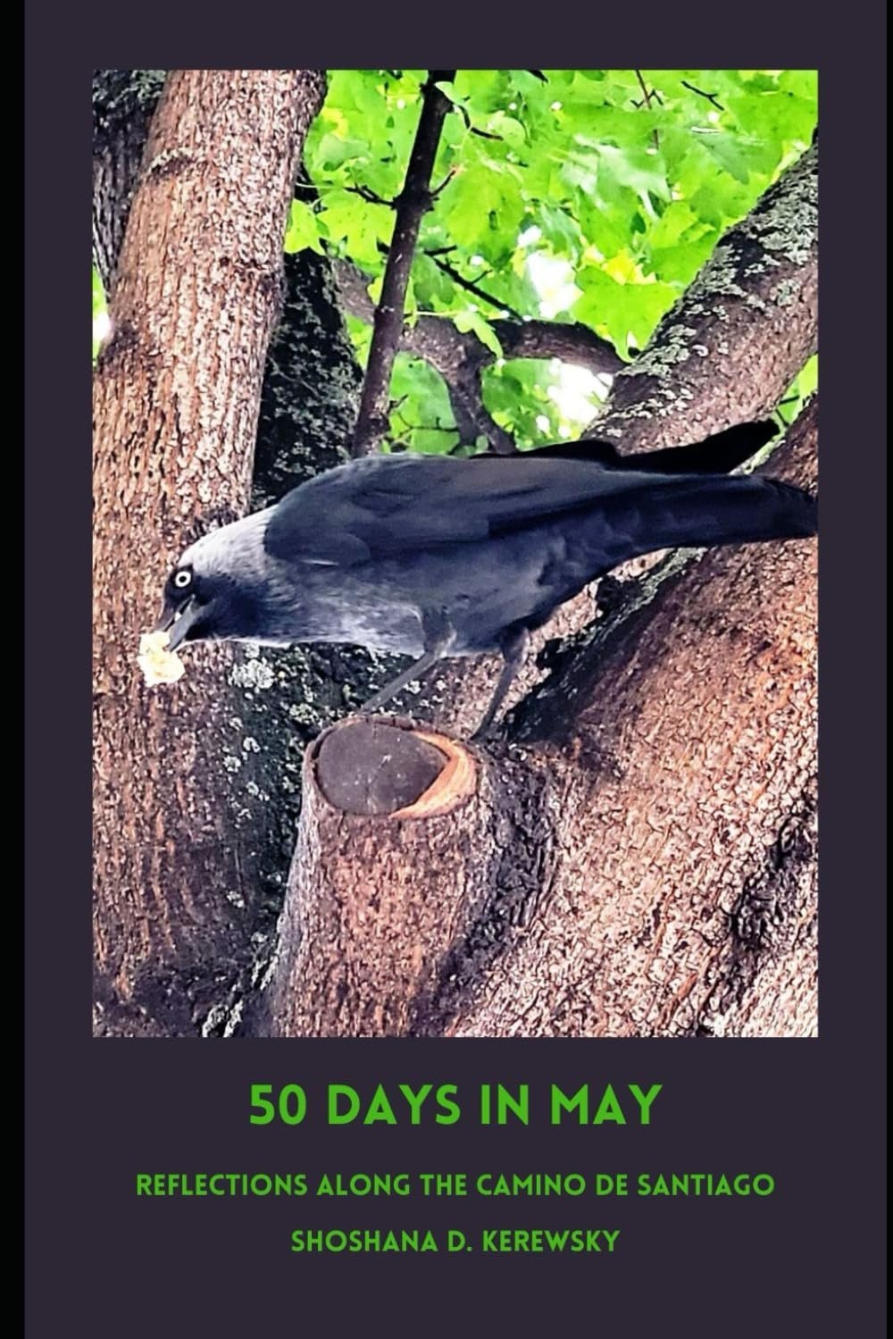 50 Days cover